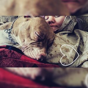 Meet your Posher, Britney